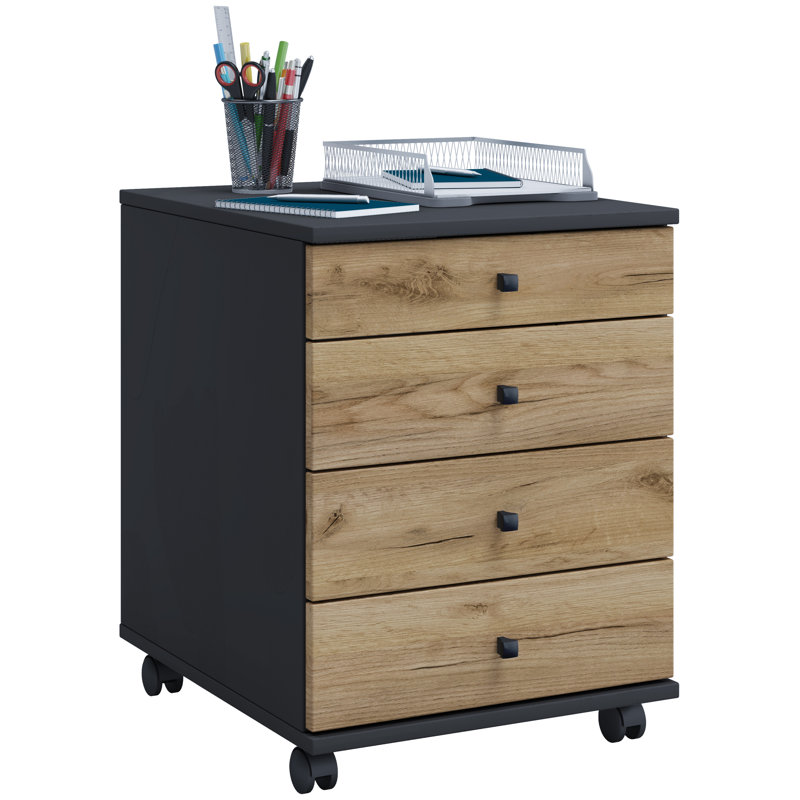 Rayiona 42cm Wide File Cabinet, 50cm H x 42cm W x 57cm D, Brown