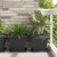 Plant Stand-44664427-44664426