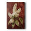 FLORAL Series CCIV - Gallery Cavas