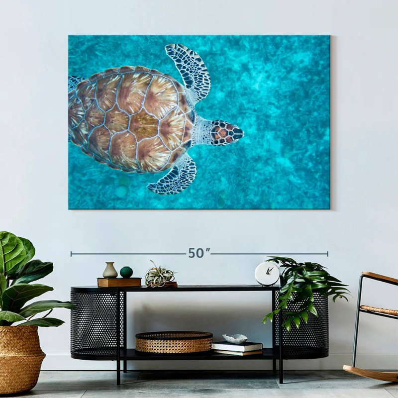 Swimming Hawksbill Sea Turtle, 34" H x 51" W