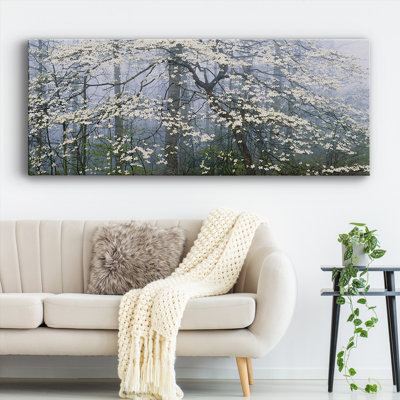 " Dogwood Canopy "