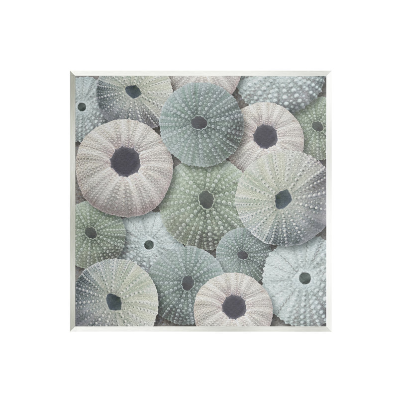 Stupell Industries Abstract Sea Urchins Wall Plaque Art Design By LSR Design Studio