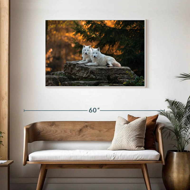 White Wolf Mates, Cadre flottant blanc, 43 po x 29 po
