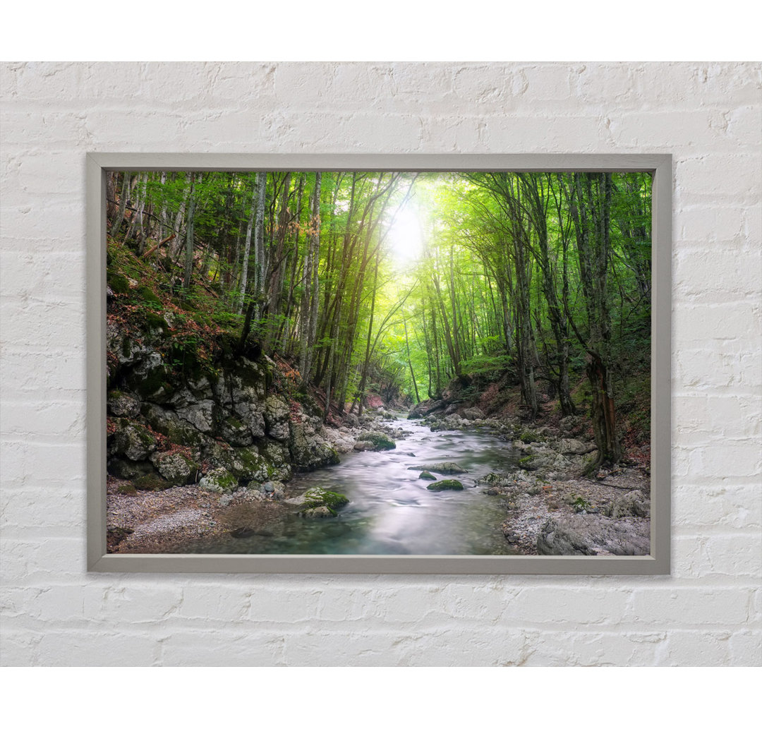 Green Woodland Stream Walk - Einzelne Bilderrahmen Kunstdrucke auf Leinwand