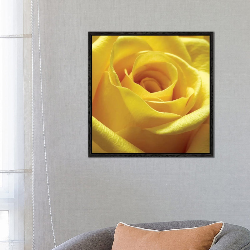 Yellow Rose by PhotoINC Studio - Wrapped Canvas Gallery-Wrapped Canvas Giclée, 66.04 cm H x 66.04 cm W, Black Floater Framed