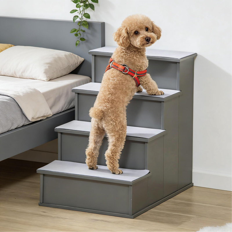 Petits marches pour chien pour lit et canapé, escalier pour animaux