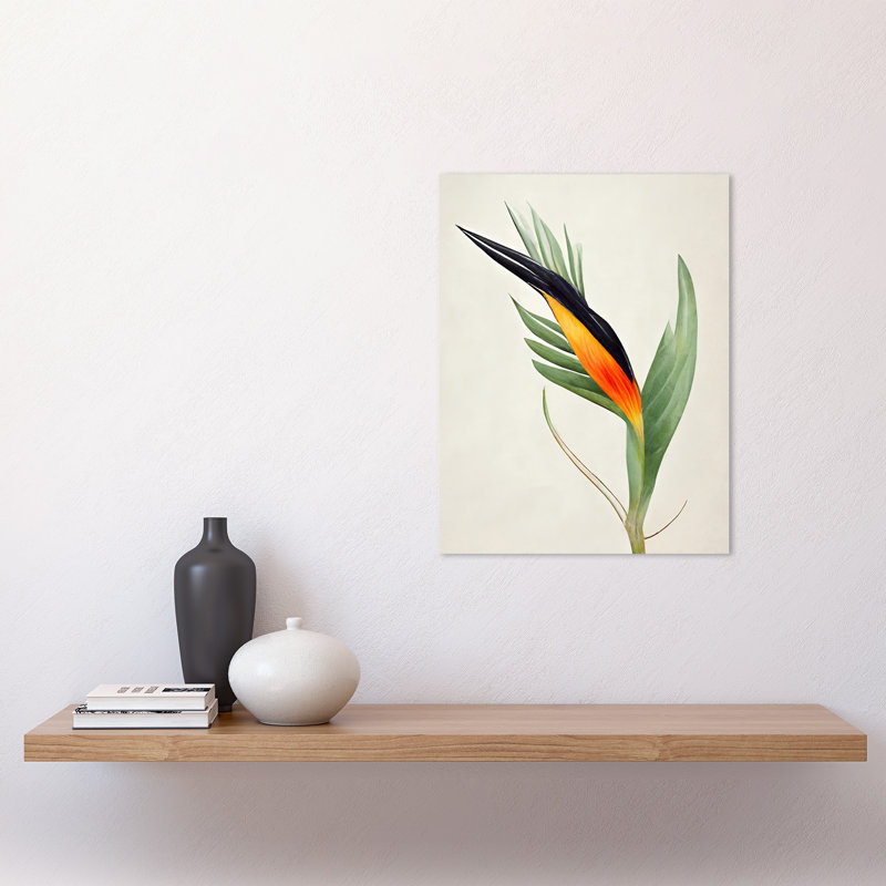 Tropical Bird Of Paradise Flower - Print, Unframed, 40.5cm H x 30.5cm W x 0.2cm D