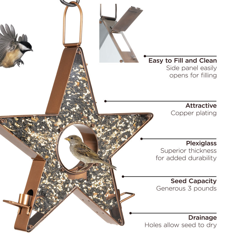Mangeoire pour oiseaux Mattoon