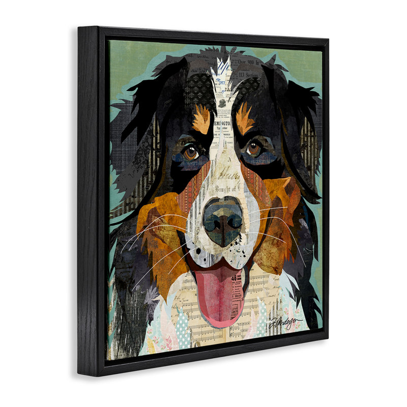 Bernese Mountain Dog Collage, 18" H x 18" W, Jet Black Floater Frame