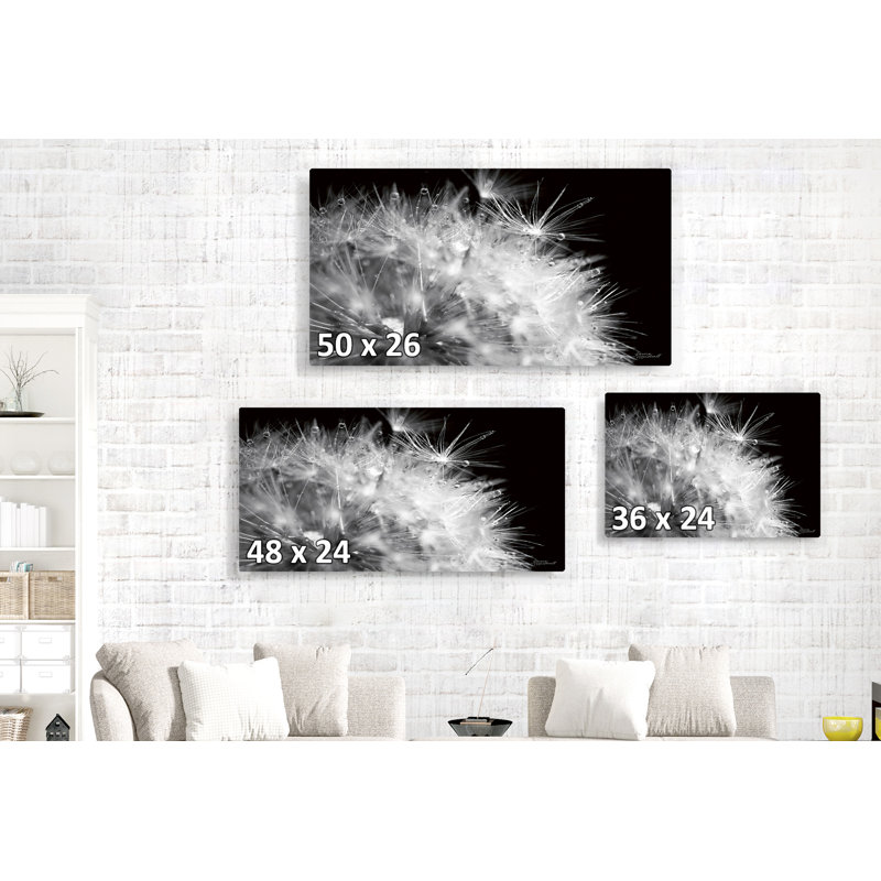 Up, On Black, Black And White, 16" H x 24" W x 1.5" D