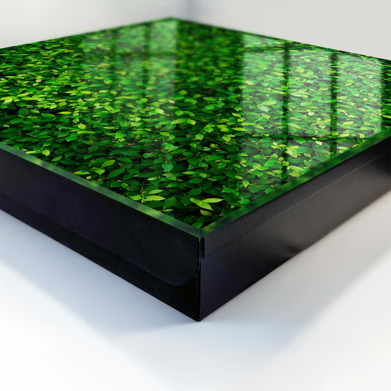 Key box, Opens to the left, 30x30x5, White, A green wall full of leaves ensures peace, 