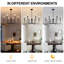 Lustre
