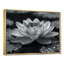 Lotus gris photo élégante silhouette II - décoration murale Lotus-1359813624-1359813629