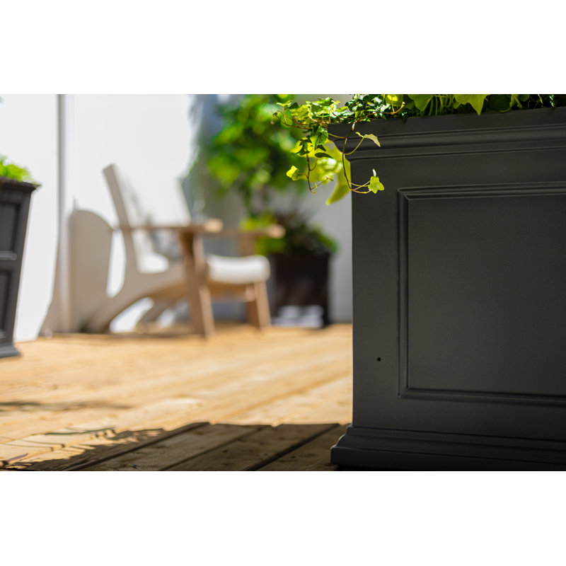 Anastasiya 20'' H x 36'' W Double-Walled Polyethylene Self-Watering Pot Planter, Black