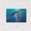 «Sea Turtle - Rainbow» par Dawg Painter