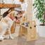 Mangeoire surélevée pour chiens de grande taille - Bols pour chien surélevés réglables avec support Bols d'eau pour chiens de taille moyenne avec 2 bols