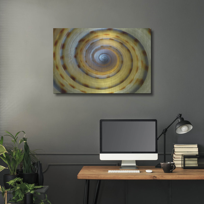 «Shell Spiral IV» par Dennis Frates, H 24 po x l 36 po