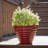 Beehive Pot Planter-91225322