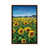 Classic Brown Wood Framed is unavailable