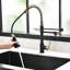 Robinet d'évier de cuisine - robinet d'eau potable avec filtre rétractable en noir et or