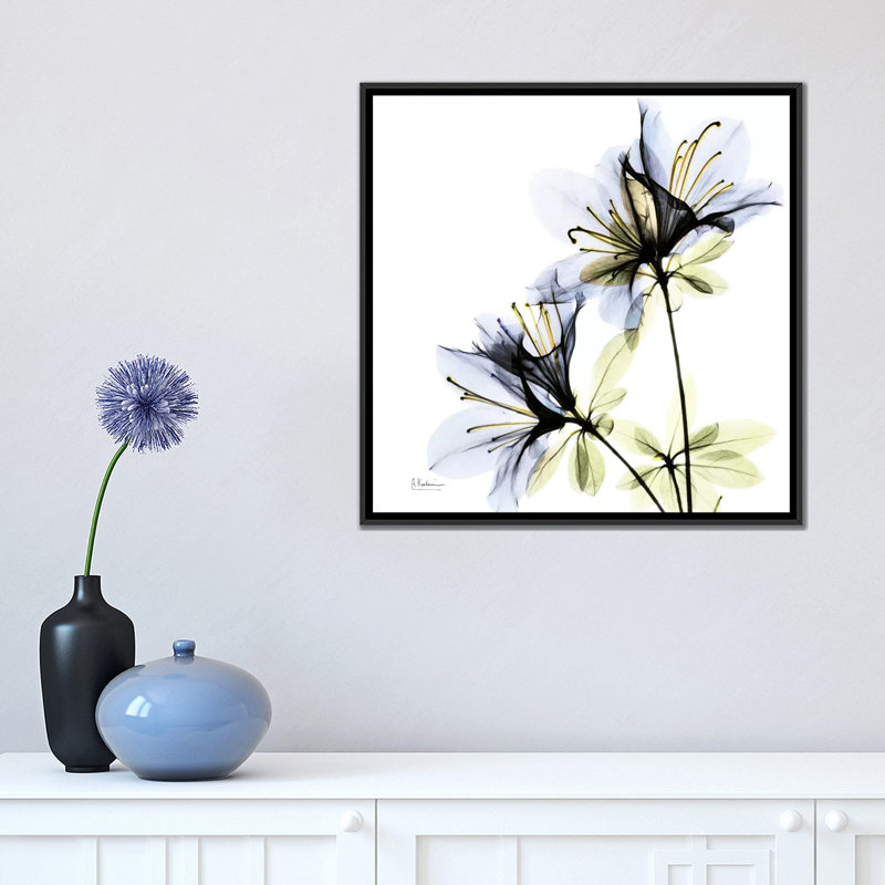 «Azalea I», impression sur toile, H 18 po x l 18 po x P 1,5 po, Toile avec cadre noir, Pas de tapis