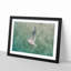 Seagull - Picture Frame Painting Print-56705401-56705403