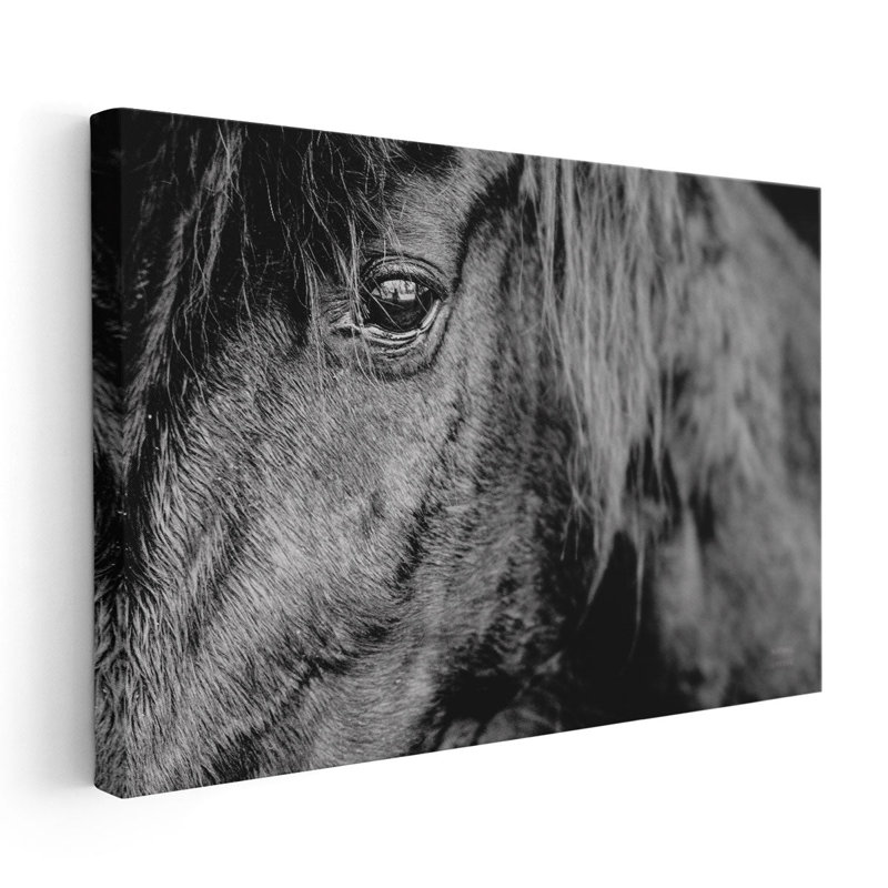 Mustang - reproduction d'art sur toile, H 20 po x l 30 po