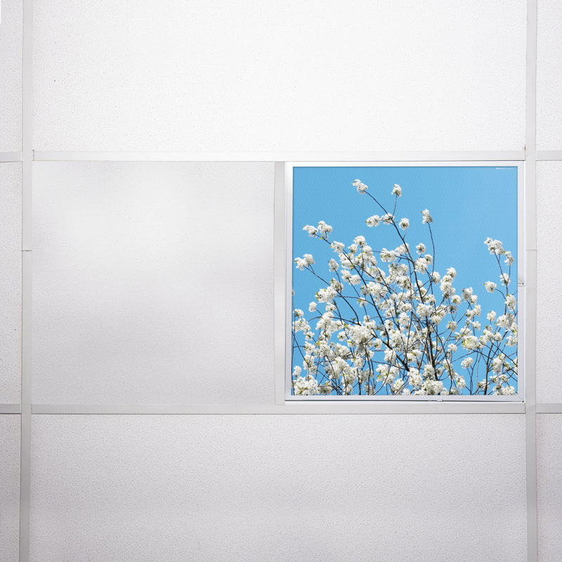 Tree Square Fixture Component Ceiling Light