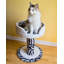 Habitation pour chat Atesha Hybernest Deluxe