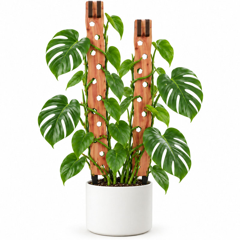 23.03 in. H x 1.65 in. W Trellis