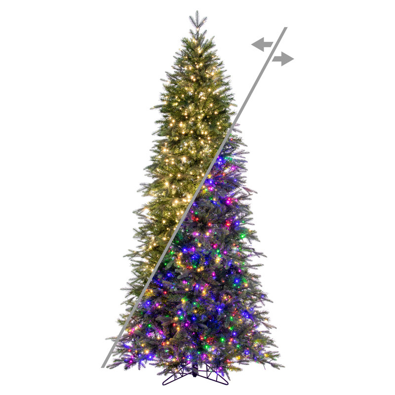  Sapin de Sheldon 12 mm x 12 po 3mm 3200CC, 12 pi x 62 po, Lumières DEL