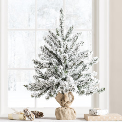 Flocked Anoka Pine Frosted 2' Pine Christmas Tree
