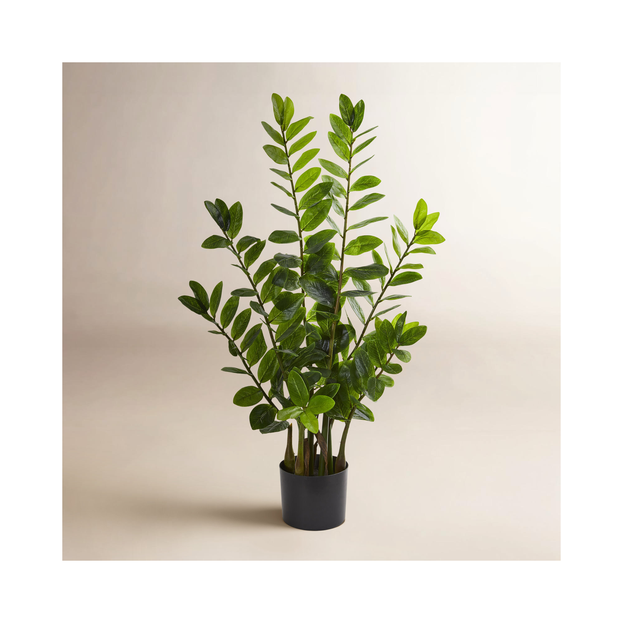 Faux ZZ Plant in Pot, 36" H x 20" W x 12" D