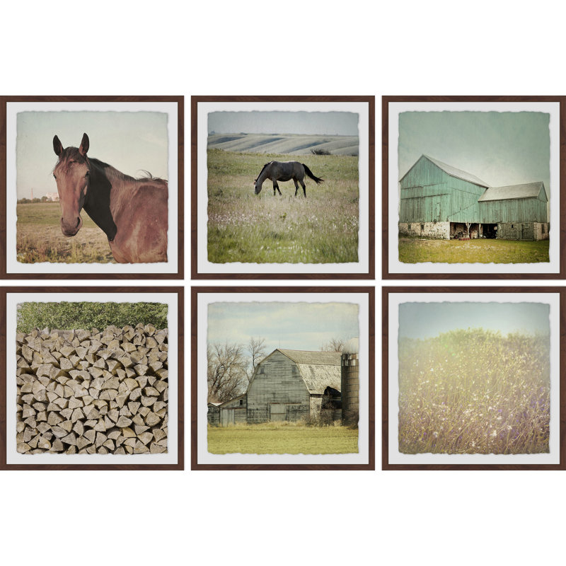 Barn and Horses II Hexaptych - Ensemble de 6 reproductions de photos sur papier, H 24 po x l 24 po x L 1,5 po
