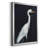 " Calm Great Egret II "-255861350-255861344