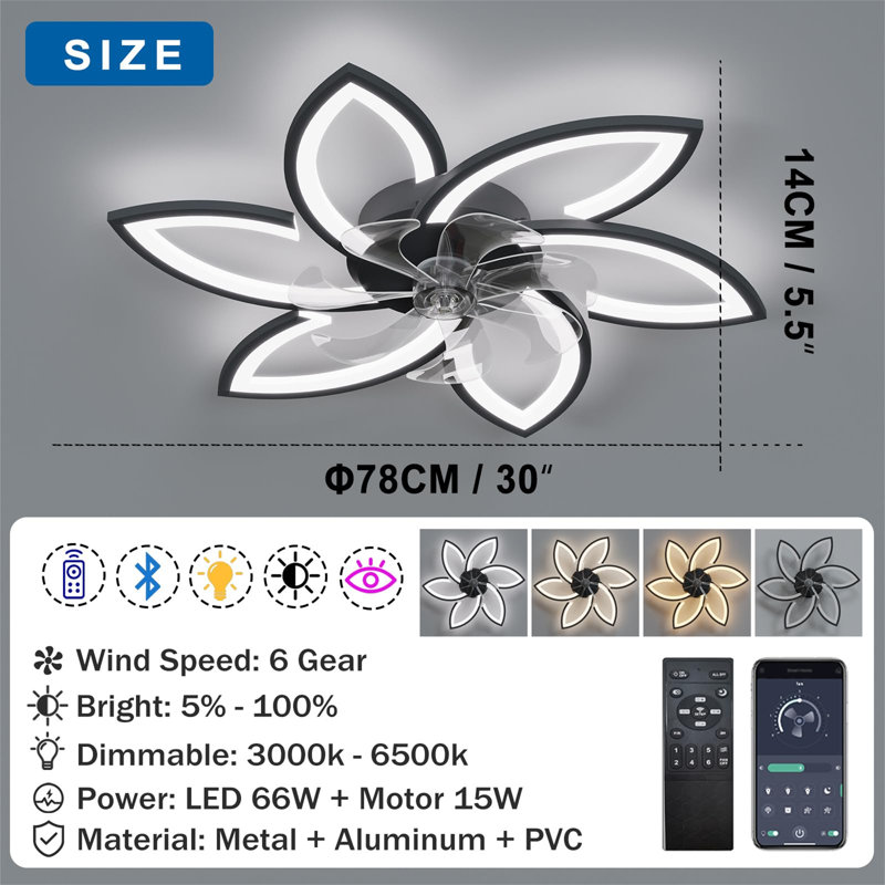 Ceiling Fan with LED Lights