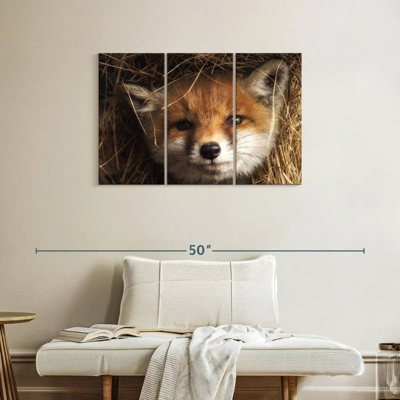 Renard coucou, H 24 po x l 38 po
