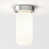White (Opal) selected