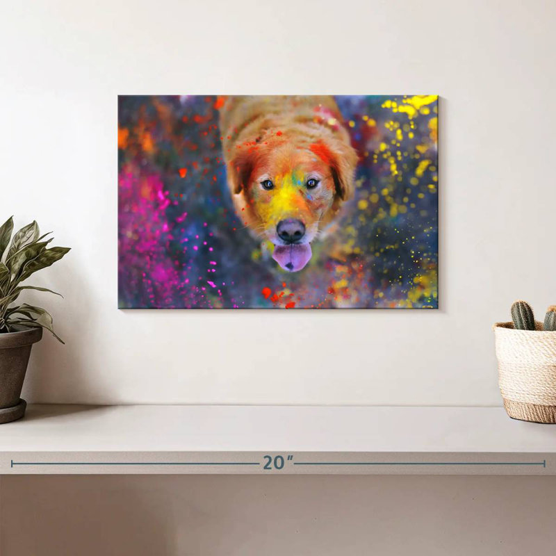 Crowle coloré Labrador, H 8 po x l 12 po