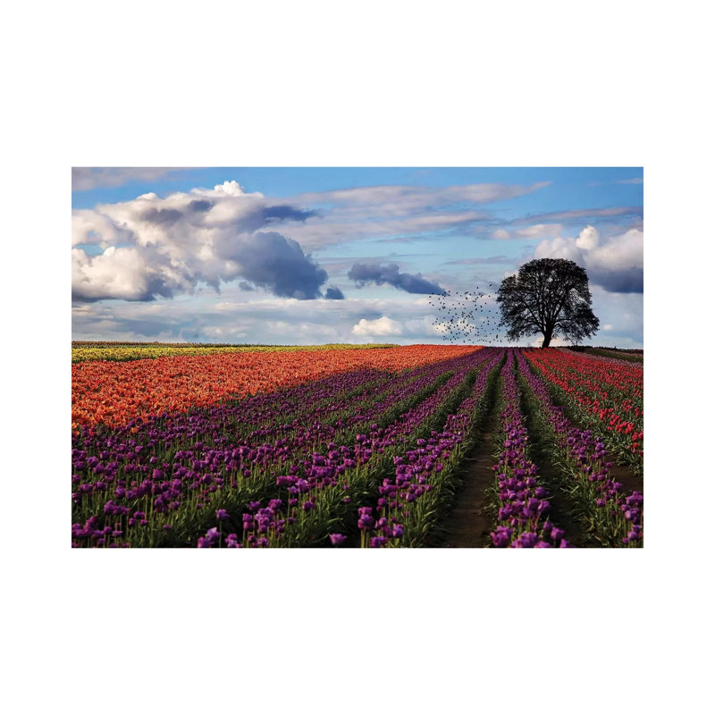Tulip Festival 1 Piece Wall Art on Canvas, 20.32 cm H x 30.48 cm W, Wrapped Canvas