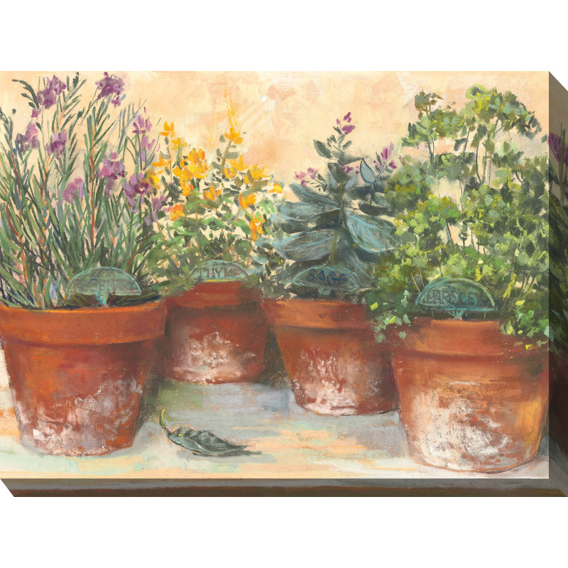 Mulford Herb Pots Outdoor Canvas Art