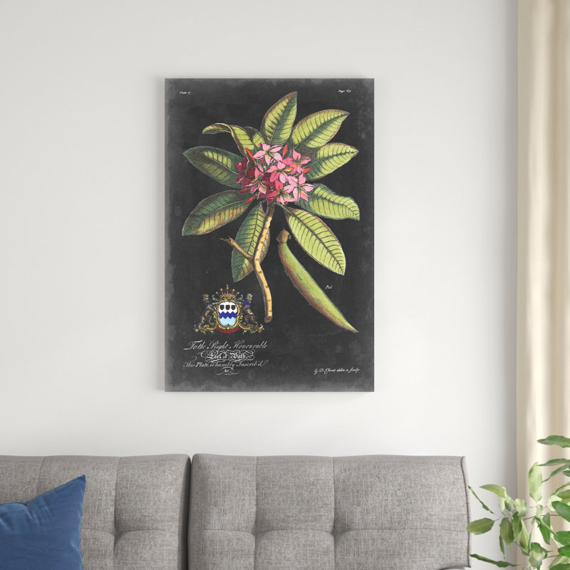 Dramatique royal botanique V, H 36 po x l 24 po x P 1,25 po