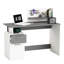 Cato Writing Desk