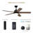 Purab 52'' Ceiling Fan with LED Lights-602551314