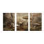 3 Piece Wrapped Canvas Print