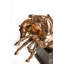 Valverde Figurines & Sculptures
