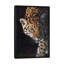 «Jaguar Portrait», reproduction d'impression sur toile-33109455-72416107-72416109