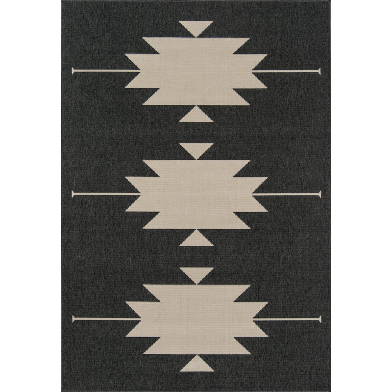Tapis d'intérieur / extérieur gris anthracite de style Sud-Ouest Genesis, Rectangle 3 pi 11 po x 5 pi 7 po