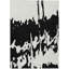 Tapis intérieur / extérieur noir lavable à la machine 1 pi 8 po x 2 pi 6 po Chayden ACN961-1979043682