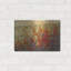 Luxe métal Art «Field Of Spring Flowers I» par Tim «Luxe métal Art» Field Of Spring Flowers I »par Tim O'Toole